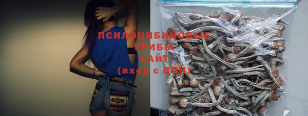 не бодяженный Алзамай