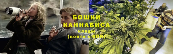 спайс Алексин