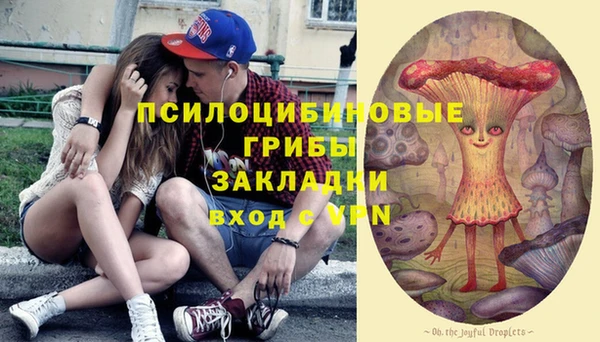 не бодяженный Алзамай
